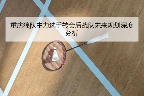 重庆狼队主力选手转会后战队未来规划深度分析